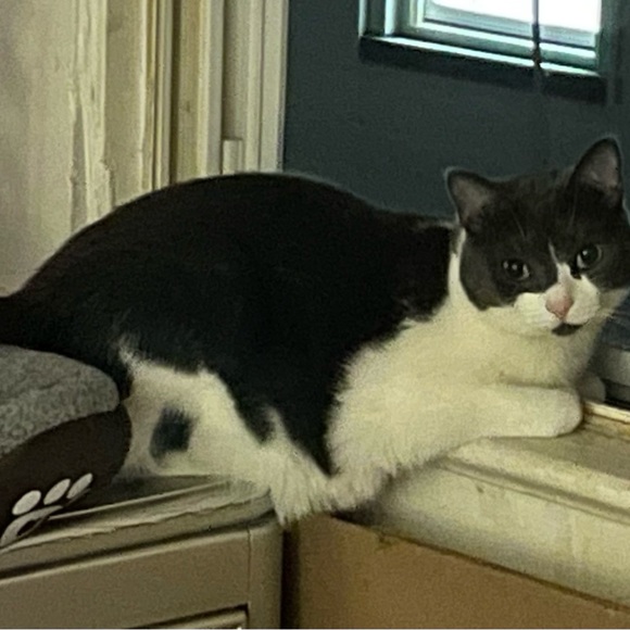 Meet your Posher, JeanMarie - Picture 3 of 10